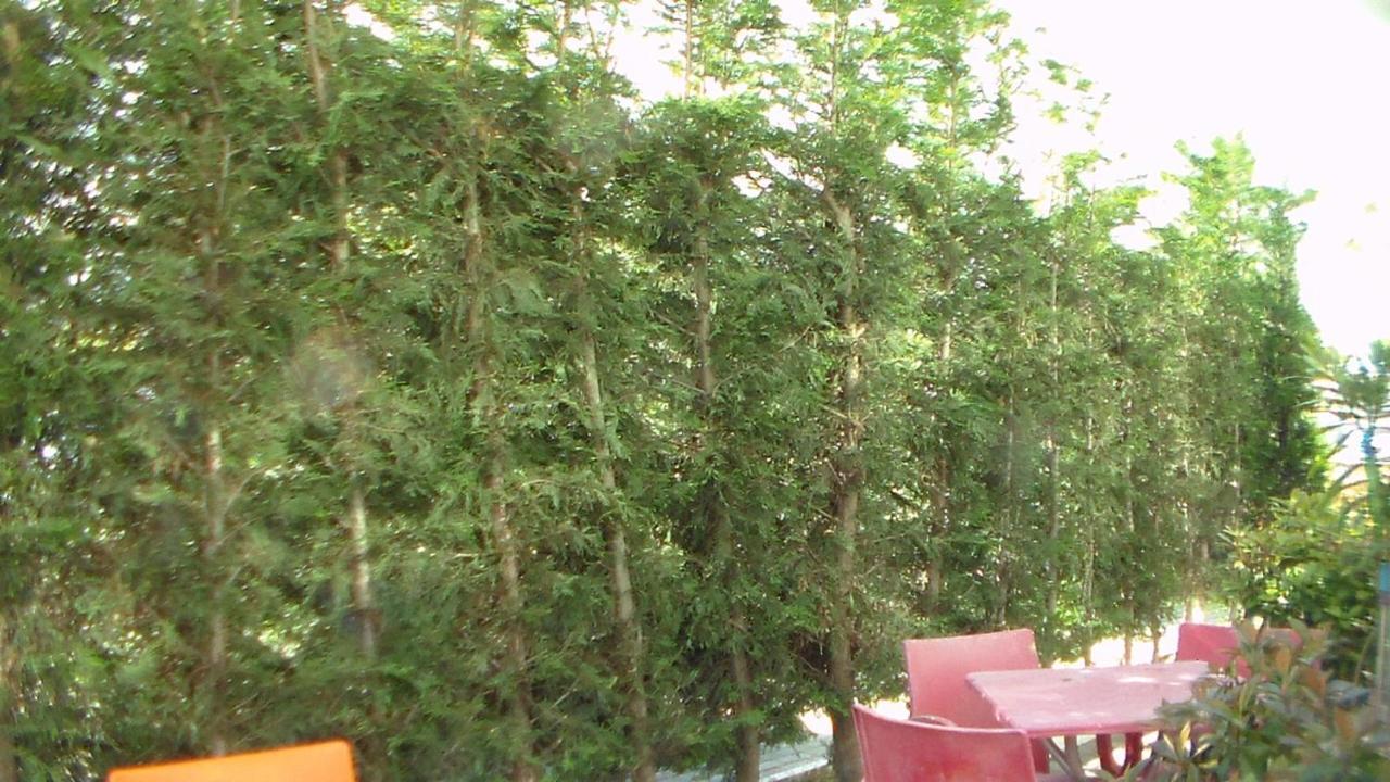 Shkoder Hotel Temali Kültér fotó